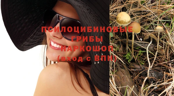 метадон Нея