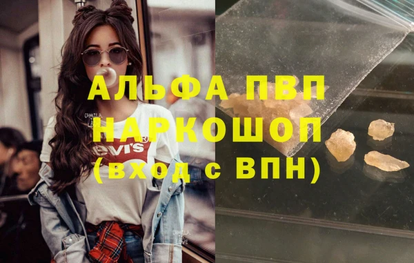 гашик Нефтекумск