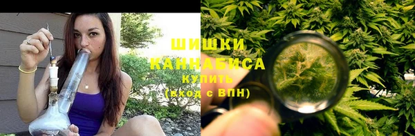 гашик Нефтекумск