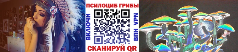 Псилоцибиновые грибы Cubensis  Купить закладки  Кандалакша 