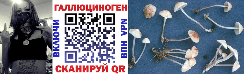 Галлюциногенные грибы GOLDEN TEACHER Кандалакша